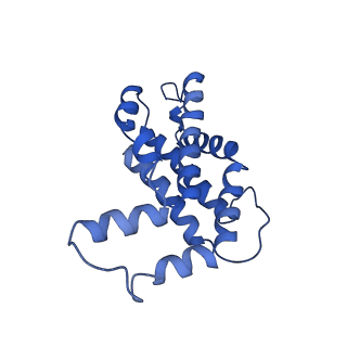 9976_6kgx_Y6_v1-1
Structure of the phycobilisome from the red alga Porphyridium purpureum