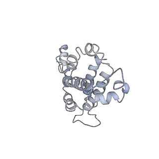 9976_6kgx_Y7_v1-1
Structure of the phycobilisome from the red alga Porphyridium purpureum