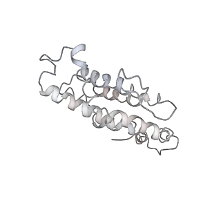 9976_6kgx_Y9_v1-1
Structure of the phycobilisome from the red alga Porphyridium purpureum