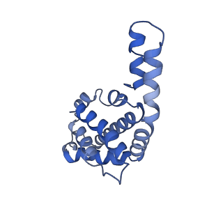 9976_6kgx_YA_v1-1
Structure of the phycobilisome from the red alga Porphyridium purpureum