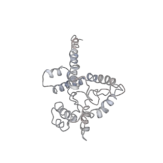 9976_6kgx_YD_v1-1
Structure of the phycobilisome from the red alga Porphyridium purpureum