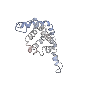 9976_6kgx_YE_v1-1
Structure of the phycobilisome from the red alga Porphyridium purpureum