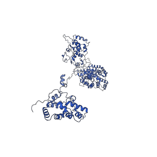 9976_6kgx_YH_v1-1
Structure of the phycobilisome from the red alga Porphyridium purpureum