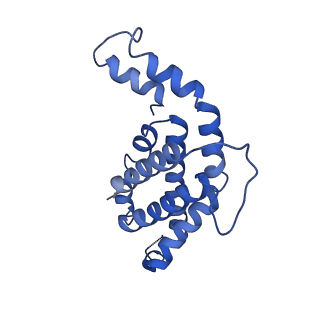 9976_6kgx_YI_v1-1
Structure of the phycobilisome from the red alga Porphyridium purpureum