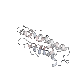 9976_6kgx_YJ_v1-1
Structure of the phycobilisome from the red alga Porphyridium purpureum