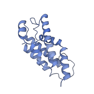 9976_6kgx_Z1_v1-1
Structure of the phycobilisome from the red alga Porphyridium purpureum