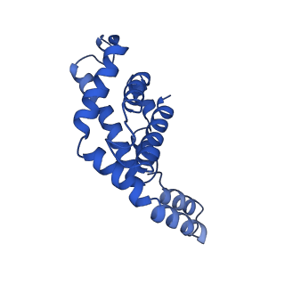 9976_6kgx_Z2_v1-1
Structure of the phycobilisome from the red alga Porphyridium purpureum