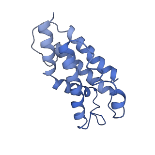 9976_6kgx_Z4_v1-1
Structure of the phycobilisome from the red alga Porphyridium purpureum