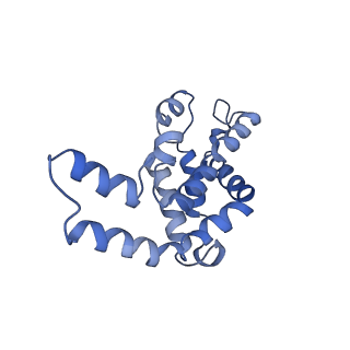 9976_6kgx_Z6_v1-1
Structure of the phycobilisome from the red alga Porphyridium purpureum