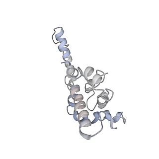 9976_6kgx_Z7_v1-1
Structure of the phycobilisome from the red alga Porphyridium purpureum