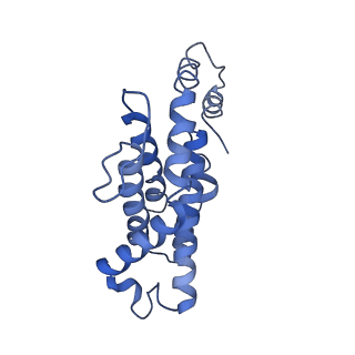 9976_6kgx_Z8_v1-1
Structure of the phycobilisome from the red alga Porphyridium purpureum