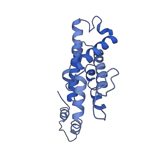 9976_6kgx_ZA_v1-1
Structure of the phycobilisome from the red alga Porphyridium purpureum