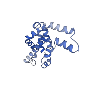 9976_6kgx_ZB_v1-1
Structure of the phycobilisome from the red alga Porphyridium purpureum