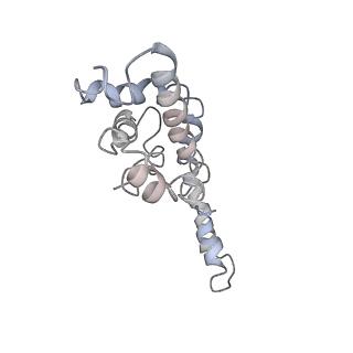 9976_6kgx_ZF_v1-1
Structure of the phycobilisome from the red alga Porphyridium purpureum