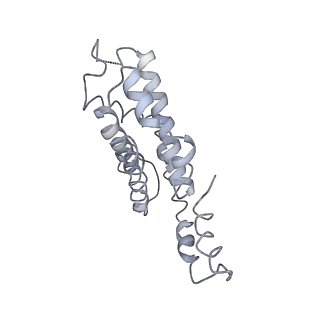 9976_6kgx_ZG_v1-1
Structure of the phycobilisome from the red alga Porphyridium purpureum
