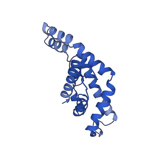 9976_6kgx_ZI_v1-1
Structure of the phycobilisome from the red alga Porphyridium purpureum