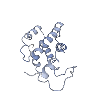 9976_6kgx_a1_v1-1
Structure of the phycobilisome from the red alga Porphyridium purpureum