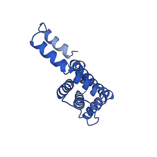 9976_6kgx_a2_v1-1
Structure of the phycobilisome from the red alga Porphyridium purpureum
