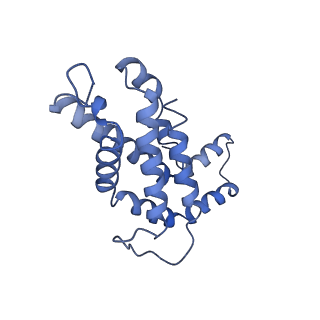 9976_6kgx_a6_v1-1
Structure of the phycobilisome from the red alga Porphyridium purpureum