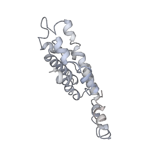 9976_6kgx_a7_v1-1
Structure of the phycobilisome from the red alga Porphyridium purpureum