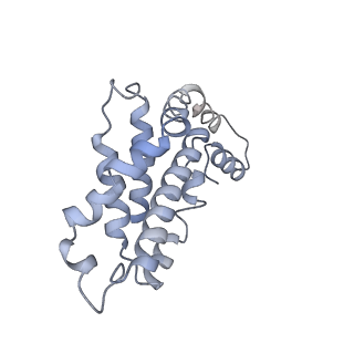 9976_6kgx_a8_v1-1
Structure of the phycobilisome from the red alga Porphyridium purpureum