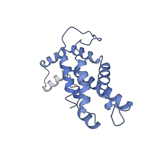 9976_6kgx_aB_v1-1
Structure of the phycobilisome from the red alga Porphyridium purpureum