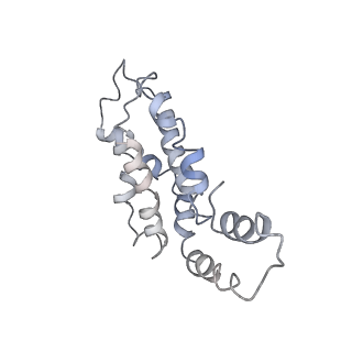 9976_6kgx_aG_v1-1
Structure of the phycobilisome from the red alga Porphyridium purpureum