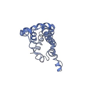 9976_6kgx_b2_v1-1
Structure of the phycobilisome from the red alga Porphyridium purpureum