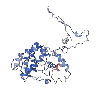 9976_6kgx_b4_v1-1
Structure of the phycobilisome from the red alga Porphyridium purpureum