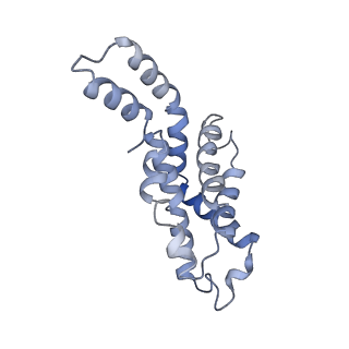 9976_6kgx_b6_v1-1
Structure of the phycobilisome from the red alga Porphyridium purpureum