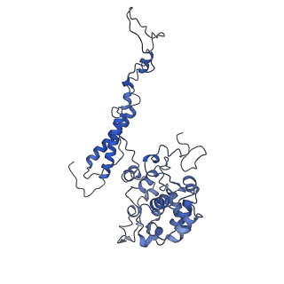 9976_6kgx_b8_v1-1
Structure of the phycobilisome from the red alga Porphyridium purpureum