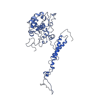 9976_6kgx_bA_v1-1
Structure of the phycobilisome from the red alga Porphyridium purpureum
