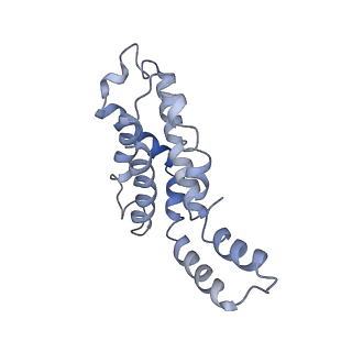 9976_6kgx_bB_v1-1
Structure of the phycobilisome from the red alga Porphyridium purpureum