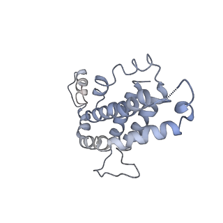 9976_6kgx_bG_v1-1
Structure of the phycobilisome from the red alga Porphyridium purpureum