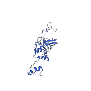9976_6kgx_bH_v1-1
Structure of the phycobilisome from the red alga Porphyridium purpureum