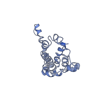 9976_6kgx_bI_v1-1
Structure of the phycobilisome from the red alga Porphyridium purpureum
