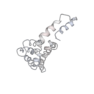 9976_6kgx_c1_v1-1
Structure of the phycobilisome from the red alga Porphyridium purpureum