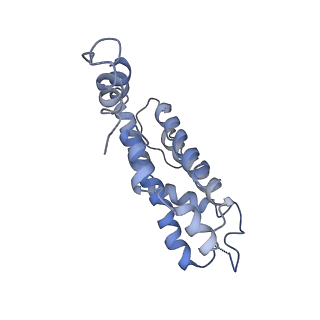 9976_6kgx_c2_v1-1
Structure of the phycobilisome from the red alga Porphyridium purpureum