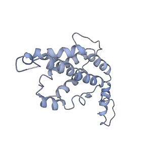 9976_6kgx_c6_v1-1
Structure of the phycobilisome from the red alga Porphyridium purpureum