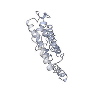 9976_6kgx_c7_v1-1
Structure of the phycobilisome from the red alga Porphyridium purpureum