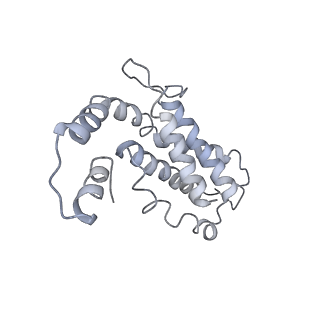 9976_6kgx_c8_v1-1
Structure of the phycobilisome from the red alga Porphyridium purpureum