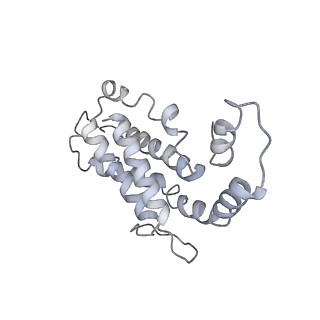 9976_6kgx_cA_v1-1
Structure of the phycobilisome from the red alga Porphyridium purpureum