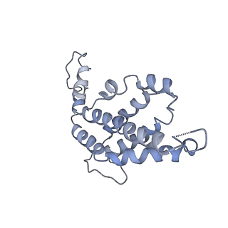 9976_6kgx_cB_v1-1
Structure of the phycobilisome from the red alga Porphyridium purpureum