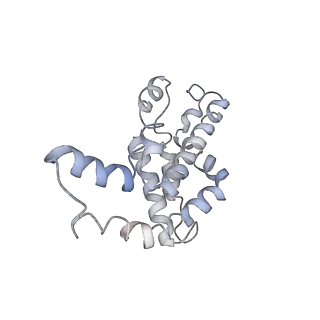9976_6kgx_cE_v1-1
Structure of the phycobilisome from the red alga Porphyridium purpureum