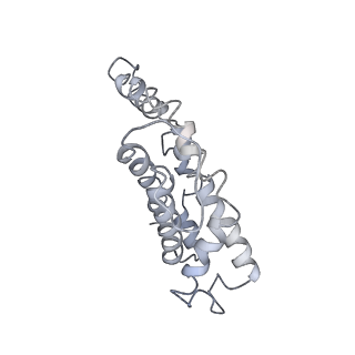 9976_6kgx_cF_v1-1
Structure of the phycobilisome from the red alga Porphyridium purpureum