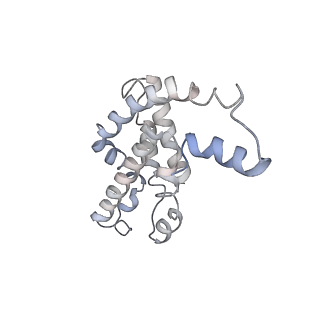 9976_6kgx_cG_v1-1
Structure of the phycobilisome from the red alga Porphyridium purpureum
