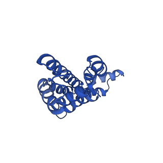 9976_6kgx_cH_v1-1
Structure of the phycobilisome from the red alga Porphyridium purpureum