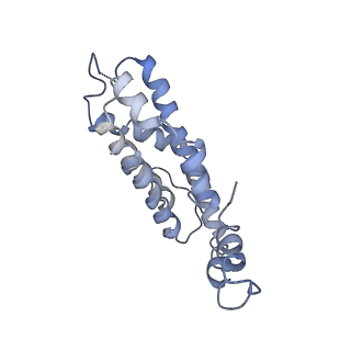 9976_6kgx_cI_v1-1
Structure of the phycobilisome from the red alga Porphyridium purpureum