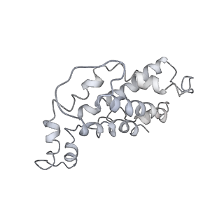 9976_6kgx_d1_v1-1
Structure of the phycobilisome from the red alga Porphyridium purpureum