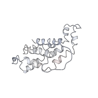 9976_6kgx_d4_v1-1
Structure of the phycobilisome from the red alga Porphyridium purpureum